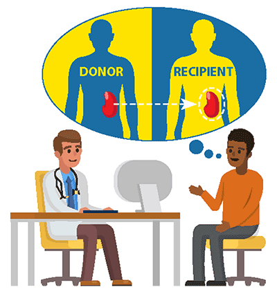 — title missing — Illustration of a kidney donor and recipient.