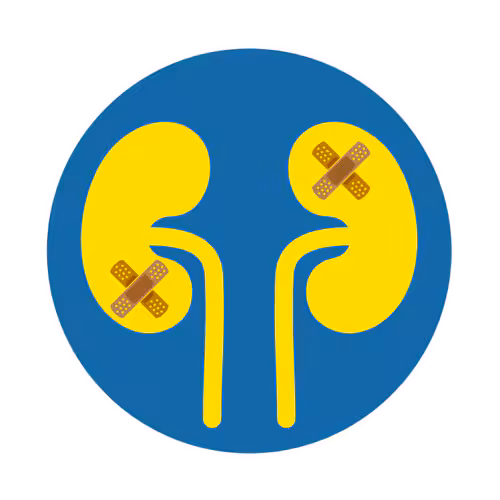 — title missing — Illustration showing kidneys with damage.