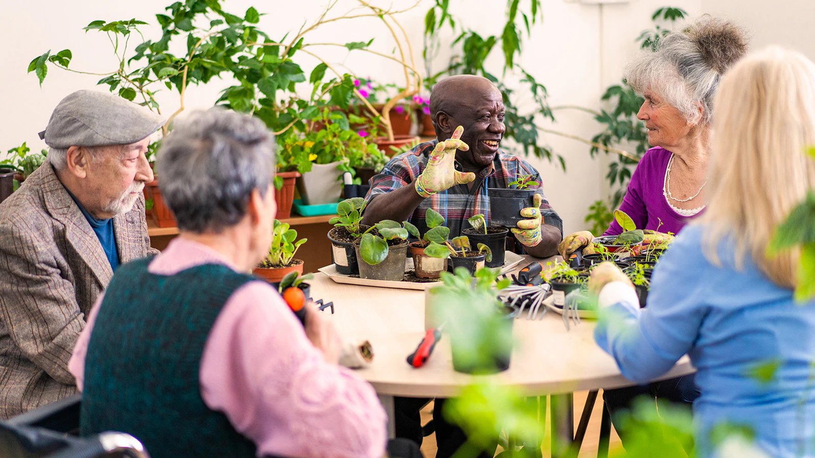 Group of senior friends enjoying gardening together Group of senior friends enjoying gardening together