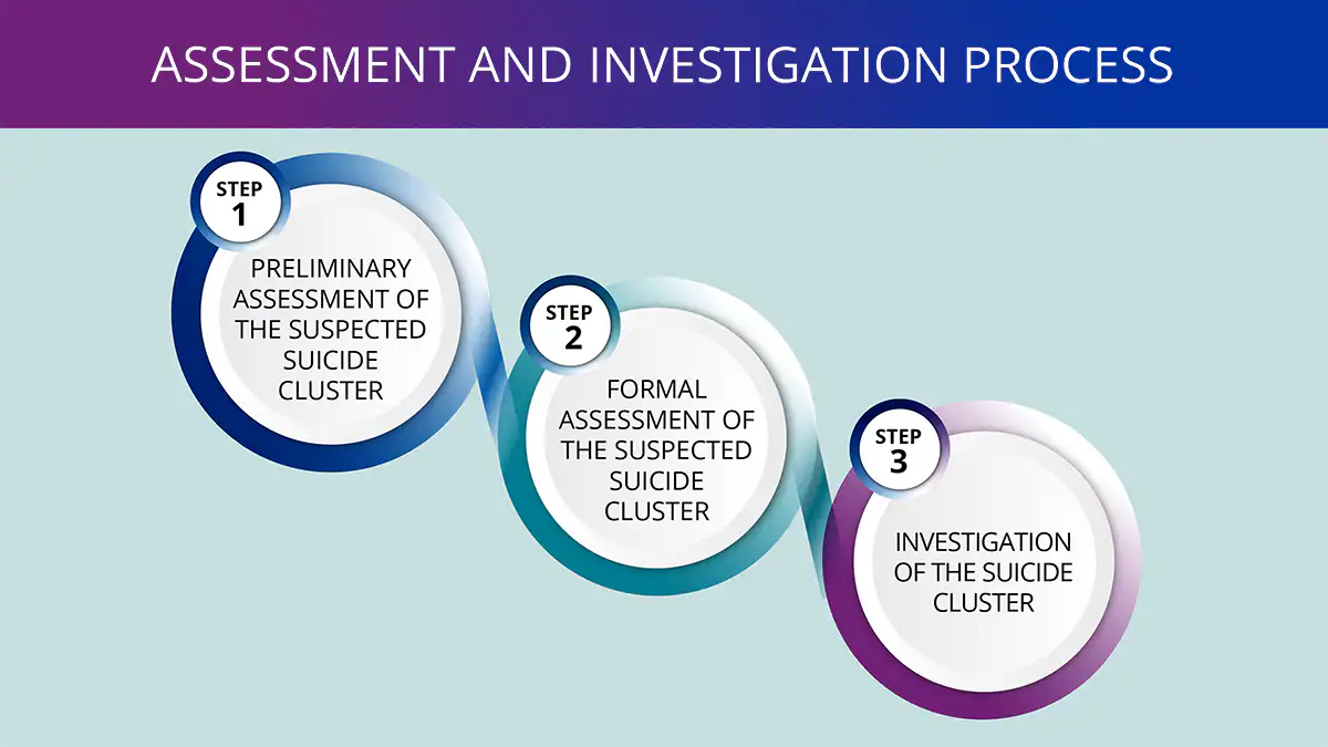 Suicide Cluster Graphic Diagram showing 3 circles of steps on how to assess and investigate a suspected suicide cluster.
