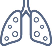 lungs lungs