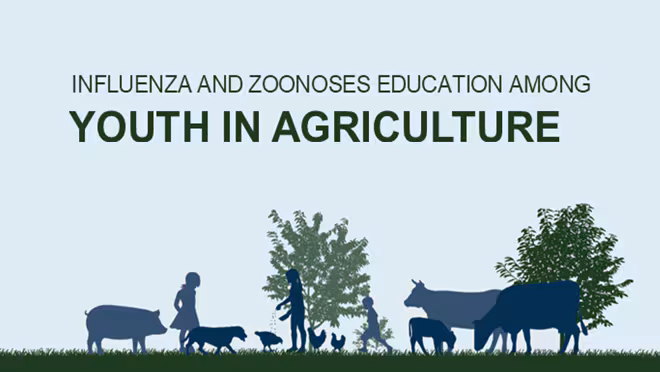 Influenza and Zoonoses Education among Youth in Agriculture program Influenza and Zoonoses Education among Youth in Agriculture program