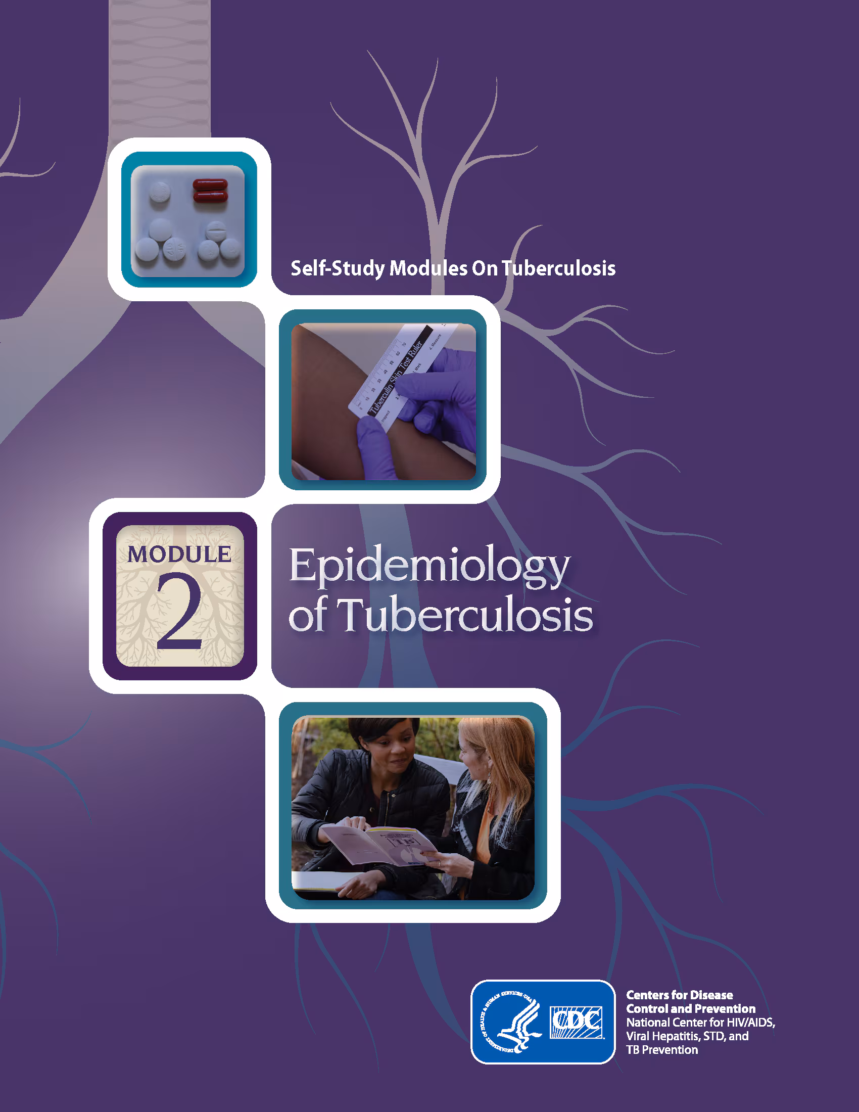 Self Study Modules on Tuberculosis: Epidemiology of Tuberculosis Self Study Modules on Tuberculosis: Epidemiology of Tuberculosis
