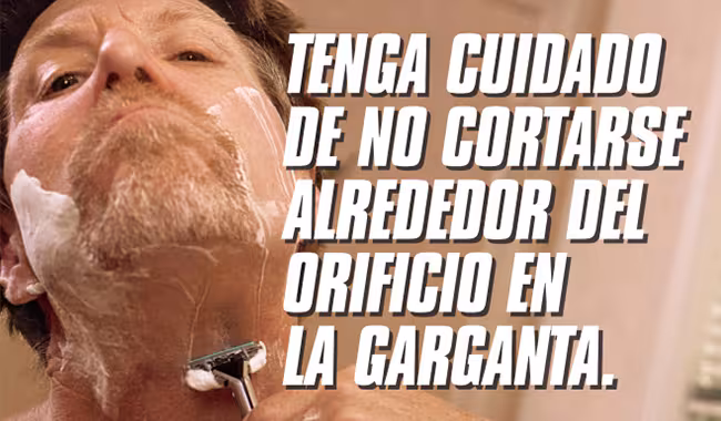 El consejo de Shawn