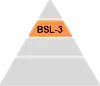 Pyramid showing the four BSLs with BSL-3 highlighted. Levels 1, 2, and 4 are grey.