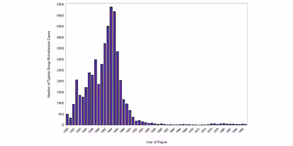 Typhuscases600x300 Graph showing Typhus cases