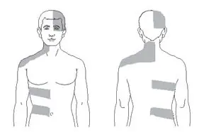 Line drawing of a male figure shown from the front and back, highlighting horizontal bands on the torso and back.